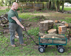 Draper Chariot de Jardin en Acier grillag Vert,200kg