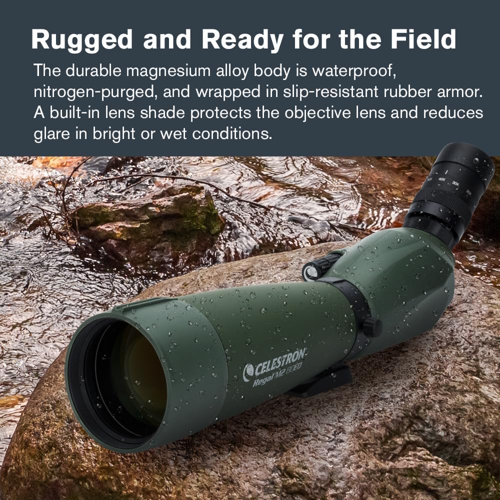Celestron 52304 Regal M2 Longue-Vue 65ED, Vert