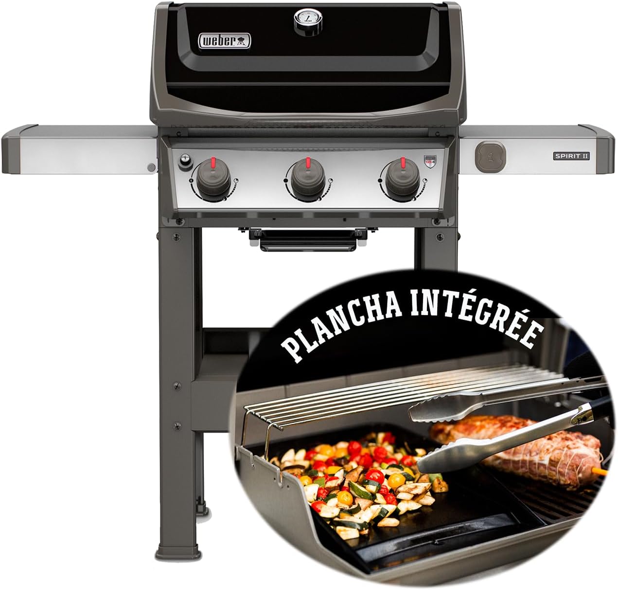 Barbecue à gaz Spirit E-310 classic