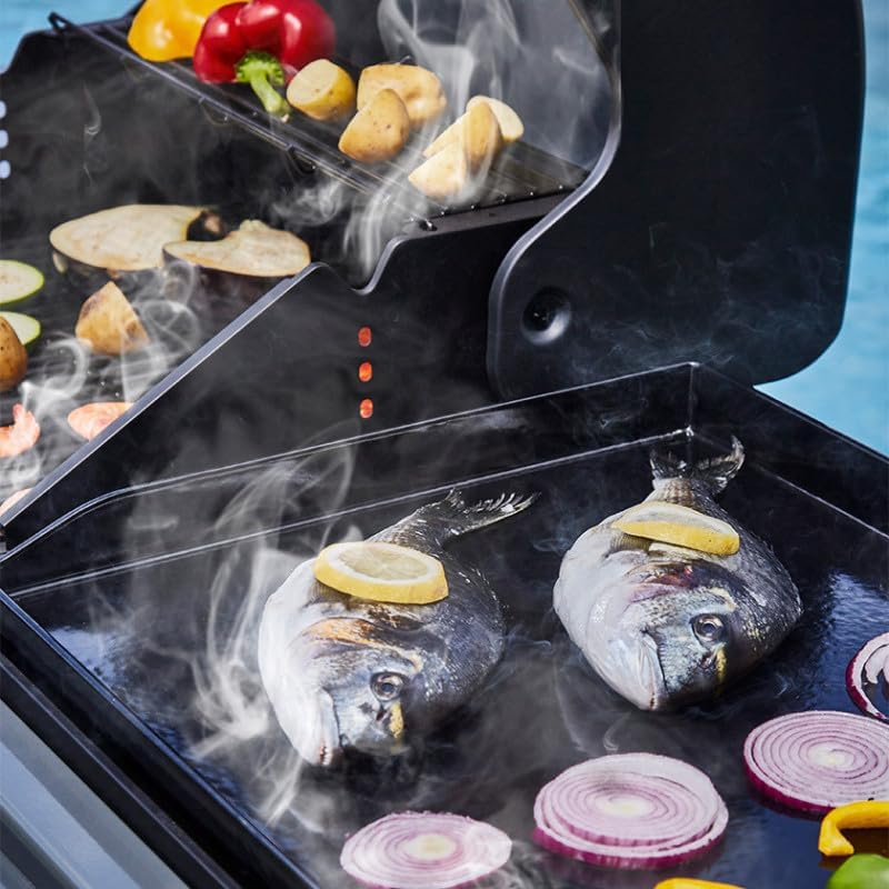 BRASERO - Barbecue Bi-Energy Gun Metal XL - Barbecue Charbon et Plancha 60 x 42 cm à gaz avec brûleur latéral -12,95 KW