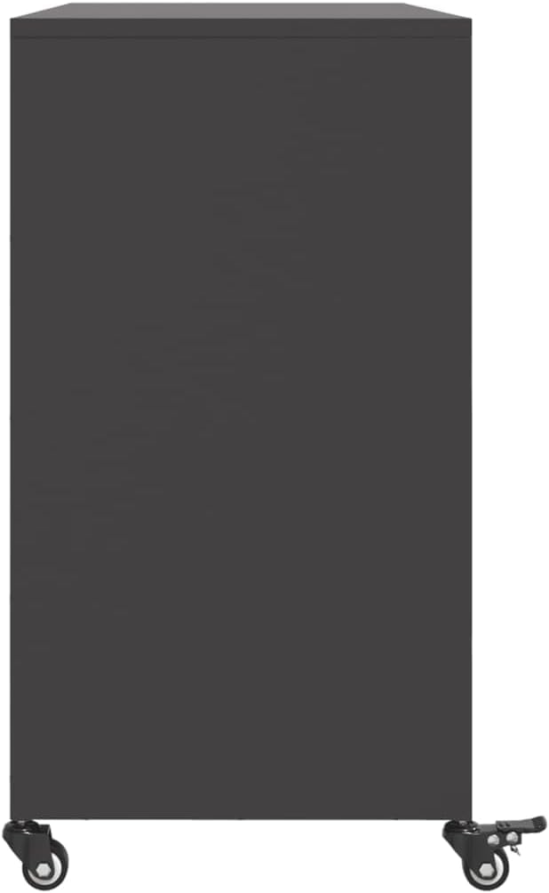 vidaXL Buffet, Armoire avec Porte, Placard avec Rangement, Organisateur de Salle de Séjour Salon Maison Intérieur, Noir 100,5x39x72 cm Acier