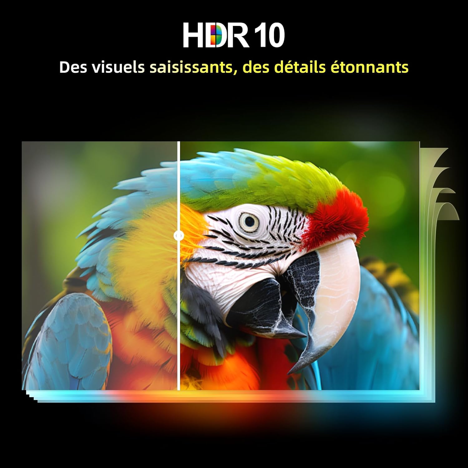 CHIQ L32QM9G 32 Pouces (80 cm) FHD Smart Téléviseur QLED HDR10 Google TV Google Assistant Tuner Triple Dolby Audio DBX-TV Chromecast intégré HDMI USB sans Cadre en Métal Noir