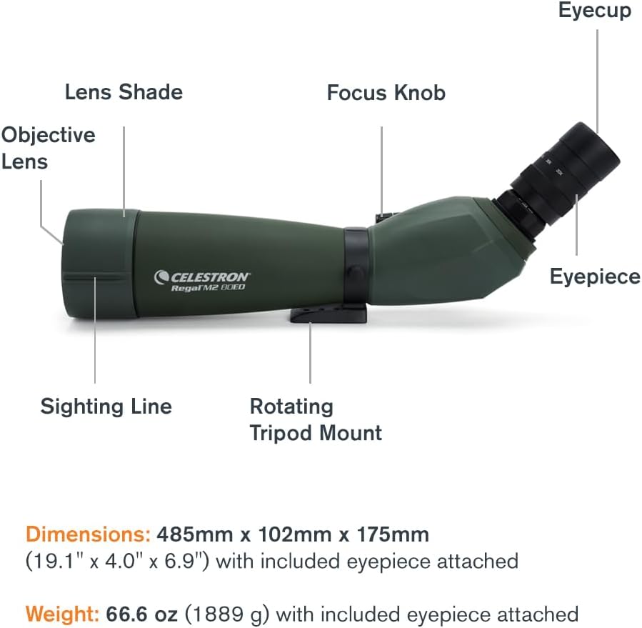 Celestron 52304 Regal M2 Longue-Vue 65ED, Vert