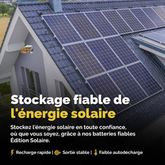 Batterie Solaire AGM 12V 100Ah Décharge Profonde sans Entretien pour Camping-Car, Voiture, Bateau, Jardin et Systèmes Solaires Autonomes Batterie Énergie Electronicx Solar Edition