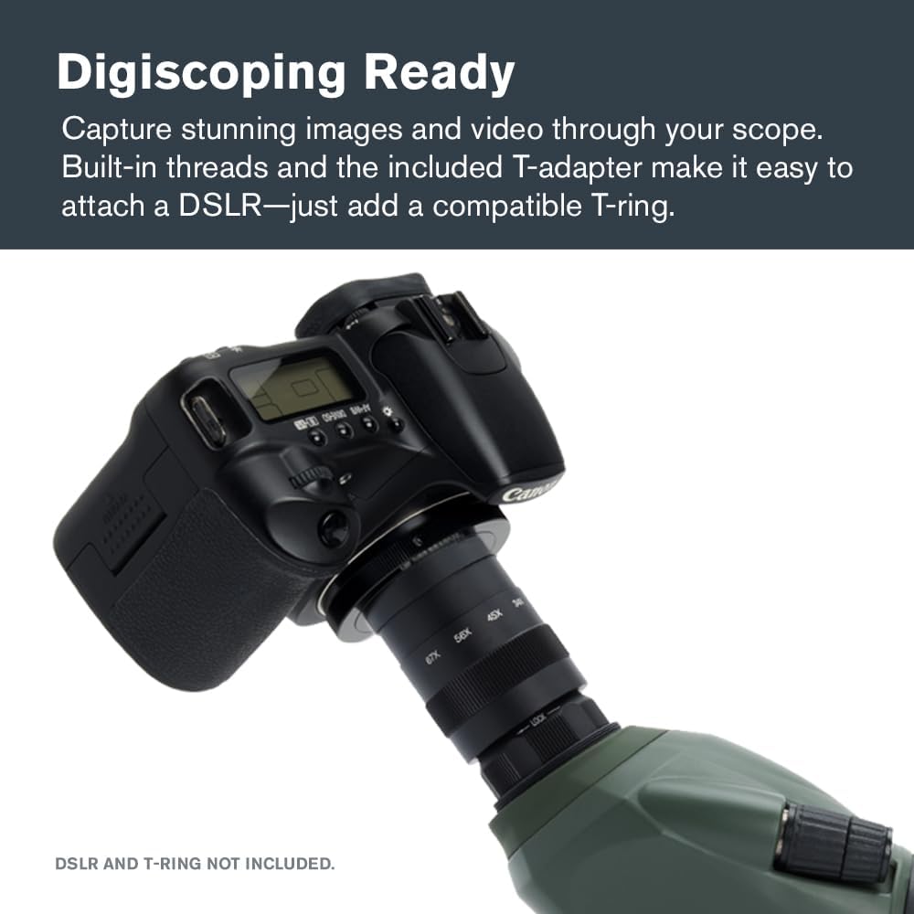 Celestron 52304 Regal M2 Longue-Vue 65ED, Vert