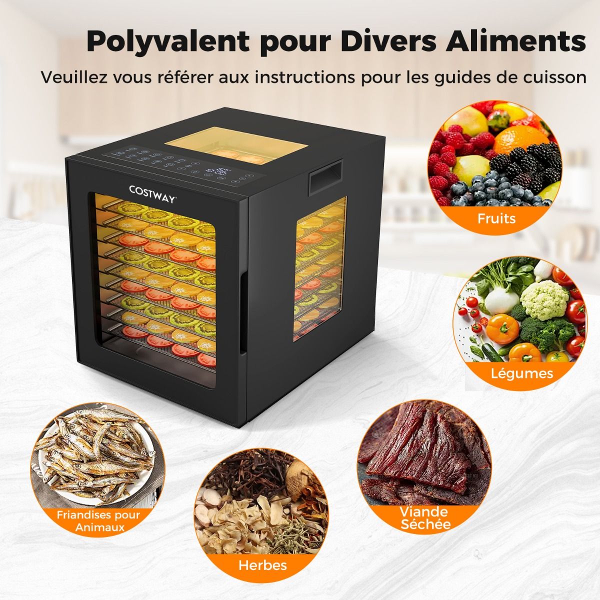 Dshydrateur Alimentaire Schoir  10 Plateaux en Acier Inoxydable avec 10 Programmes Prrgls Minuterie de 48H&Temprature de 30-75鈩Noir -