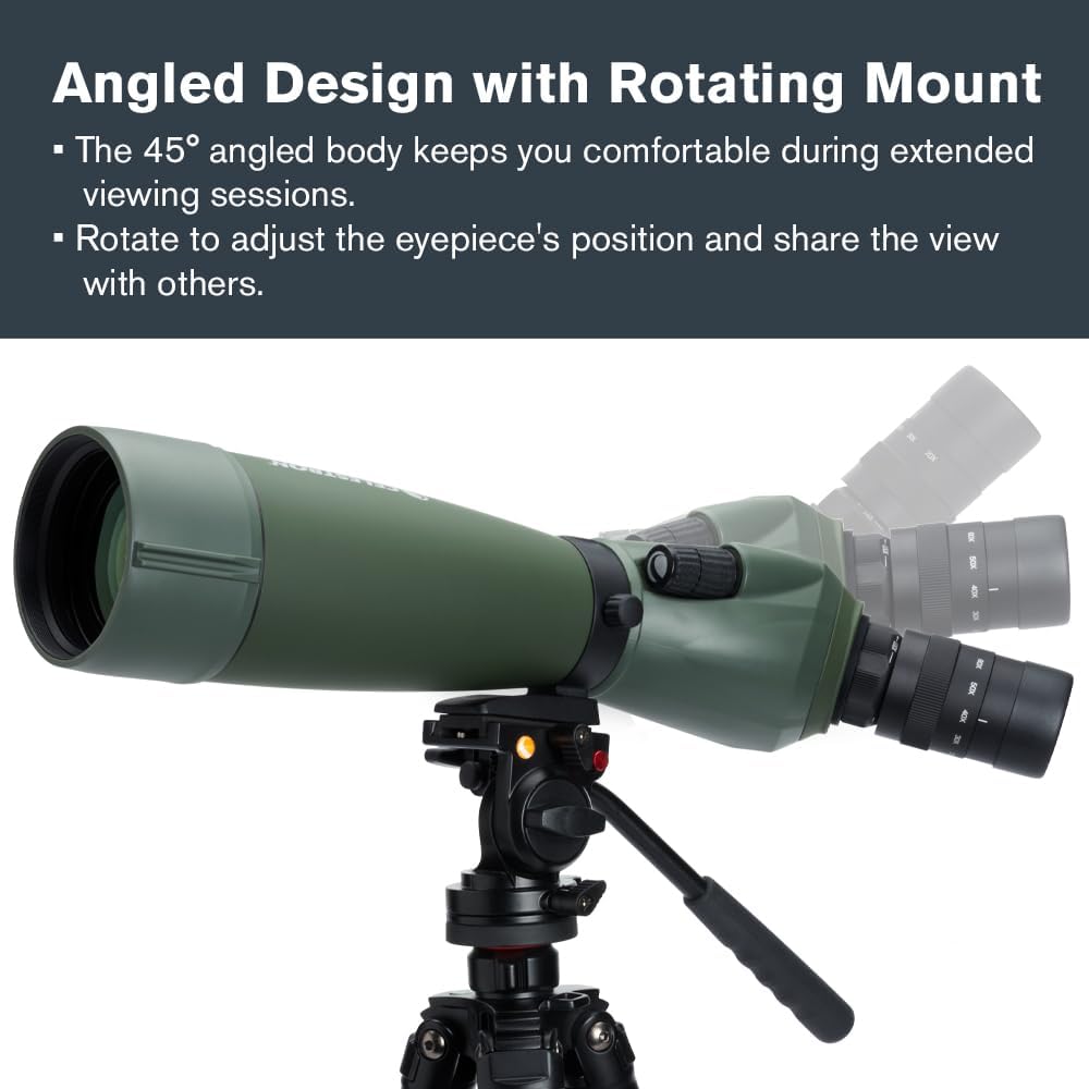 Celestron 52304 Regal M2 Longue-Vue 65ED, Vert