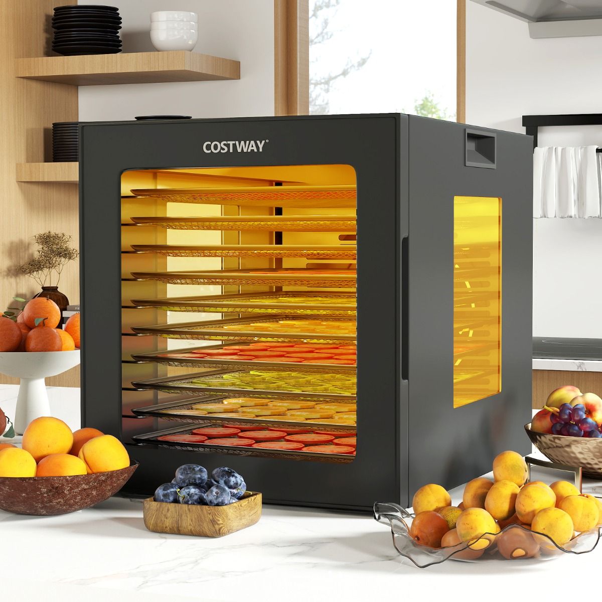 Déshydrateur Alimentaire Séchoir à 10 Plateaux en Acier Inoxydable avec 10 Programmes Préréglés Minuterie de 48H&Température de 30-75Noir -