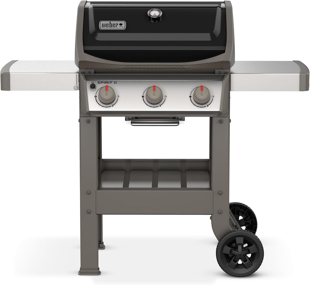 Barbecue à gaz Spirit E-310 classic