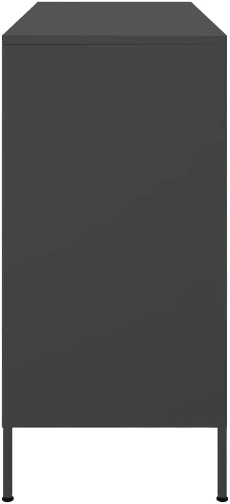 vidaXL Buffet, Armoire avec Pieds et Compartiments, Placard avec Porte, Meuble de Rangement Salon Intérieur, Noir 100,5x39x79 cm Acier