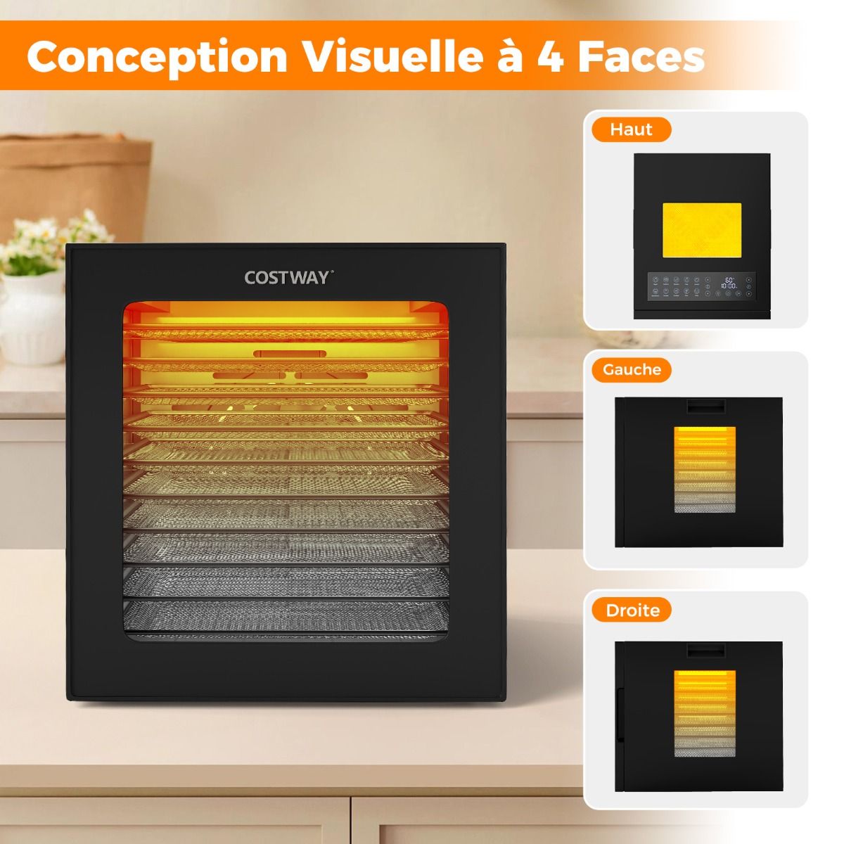 Dshydrateur Alimentaire Schoir  10 Plateaux en Acier Inoxydable avec 10 Programmes Prrgls Minuterie de 48H&Temprature de 30-75鈩Noir -